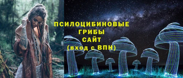 apvp Алексин