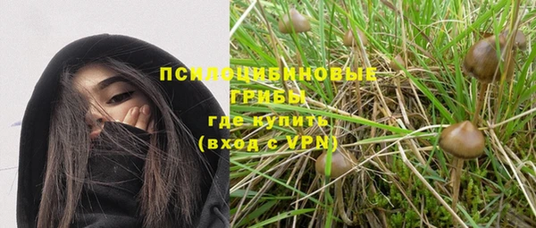 apvp Алексин