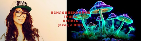 apvp Алексин