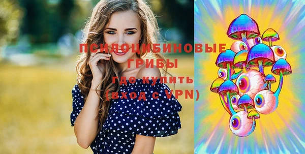 ECSTASY Алексеевка