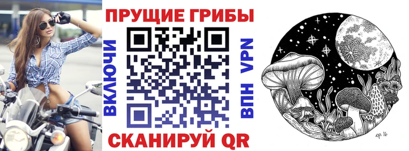 Галлюциногенные грибы Cubensis  продажа наркотиков  Льгов 