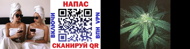 Конопля ГИДРОПОН  Льгов 